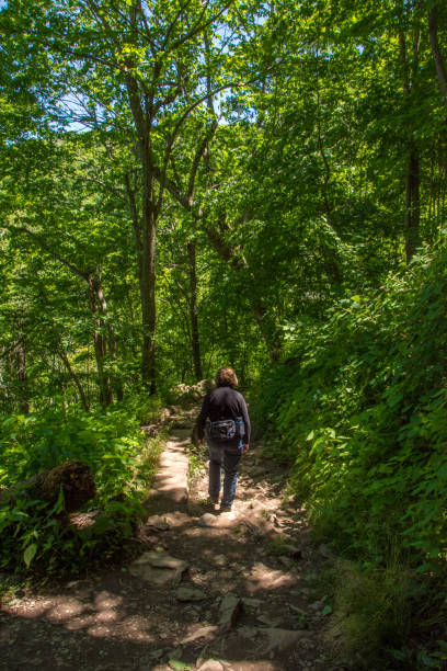 istock Shenandoah NP - Dark Hollow Falls Trail - Sunlight & Shadow 2164884913