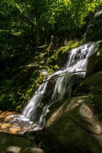 istock Shenandoah NP - Dark Hollow Falls - Flowing Water Side View Vertical 2164885199