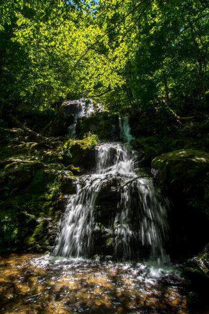 istock Shenandoah NP - Dark Hollow Falls - Flowing Water & Pool Below 2164885244