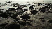 hintergrundbilder-tapete-dekor-hd-format-digitale-spiegelreflexkamera-landschaft-fotografie.jpg?b=1&s=170x170&k=20&c=v0-zEMZZdD74VHlPd-ctbRrt07BisVYWKZfc2_7E2U0=