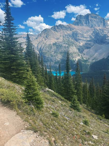 istock Canadian landscape 2164888745