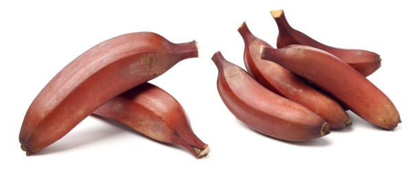 istock ripe tropical tasty red bananas 2164890148