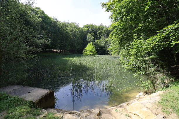 istock Commercy - Royal fountain pond 2164895022
