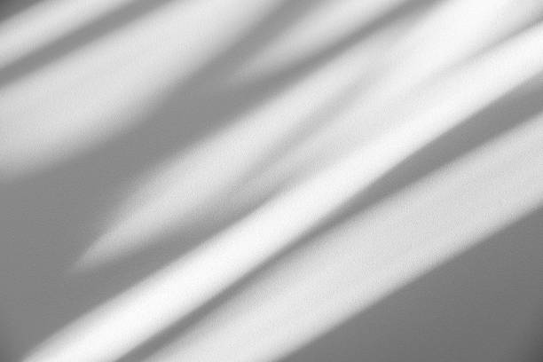 istock Studio style background wall decoration presentation uses white tones. with shadows cast from a nearby window, concept creating a decorative backdrop. 2164896150