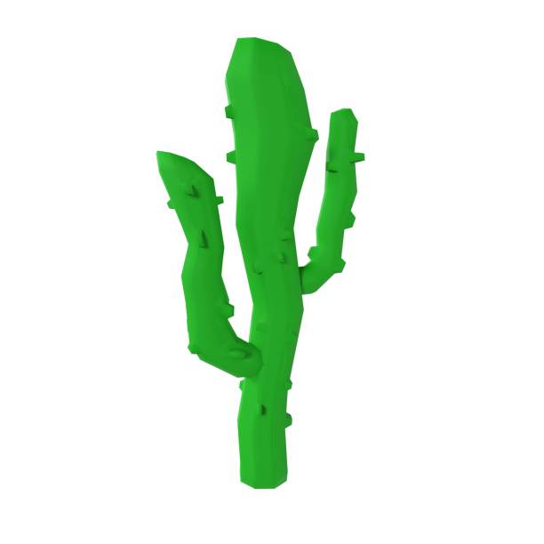 Green cactus isolated on white background