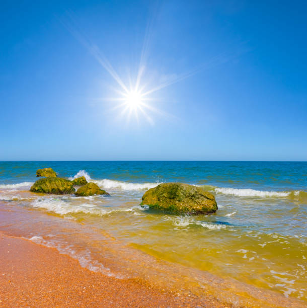 sandy sea beach with huge stones at the summer sunny day