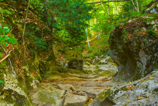 istock dry river in mountain canyon 2164897832