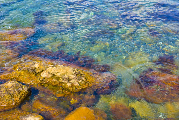 closeup sea coast with stones