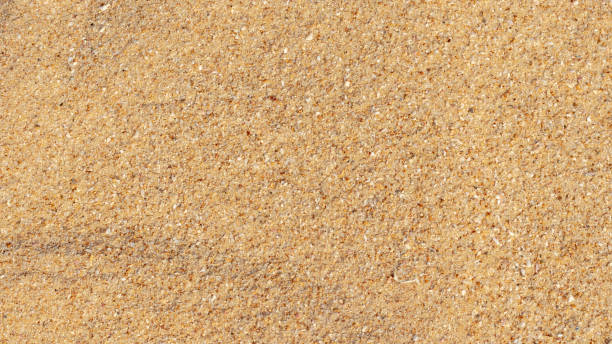 istock texture background of beach sand 2164898846