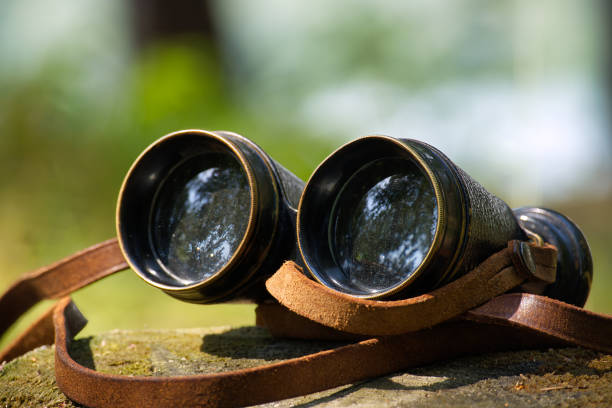 istock Vintage binoculars resting on a tree stump in a peaceful forest setting 2164899403