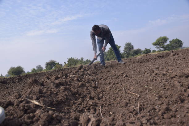 istock Indian farmer digging his field with a spade, farm and sky background 2164900582