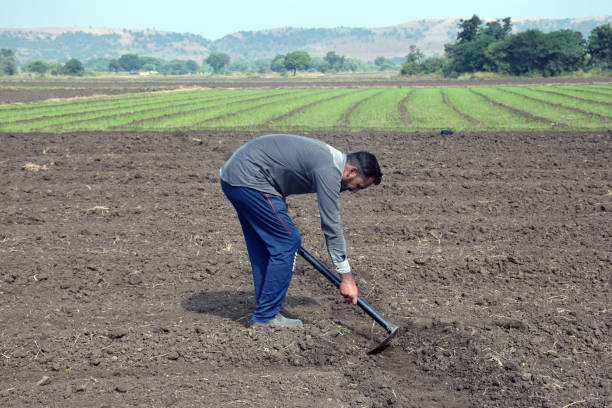 istock Indian farmer digging his field with a spade, farm and sky background 2164900584