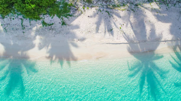 istock Perfect palm trees shadow on sandy beach, turquoise ocean waves from above. Amazing summer nature landscape. Stunning sunny beach coast, relaxing peaceful. 2164901973