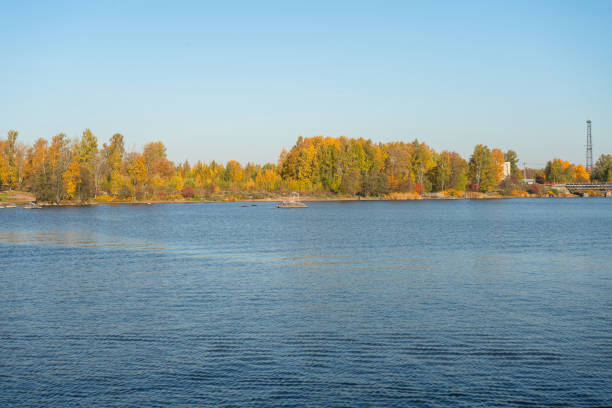 bright autumn trees in Wiborg with water bay view and finland bridge
