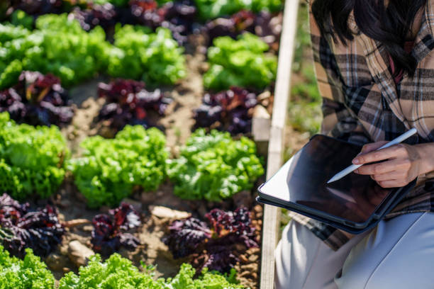 istock farmer with digital device checking on tablet with plantation. 2164904595