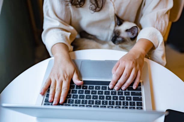 istock Woman working on laptop with cat sitting together. 2164904637