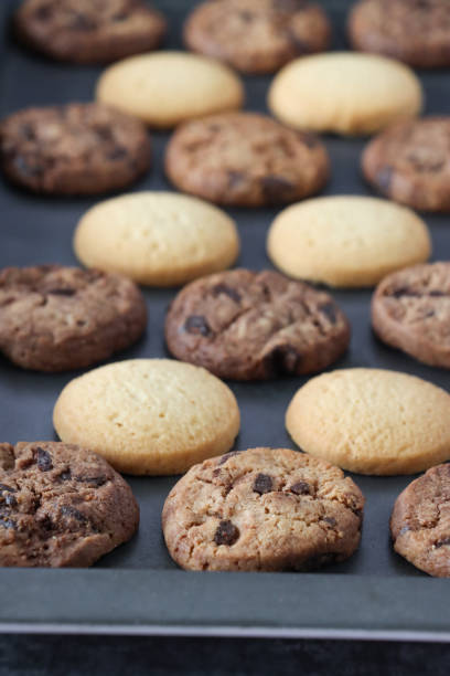 Stock photo showing close-up view of oven baking tray containing a freshly baked batch of homemade, double chocolate chip biscuits and shortcake rounds, home baking concept.*Not AI modified*