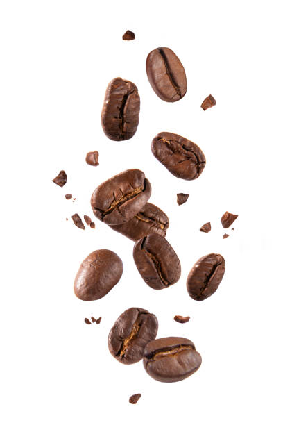 Roasted coffee beans in the air