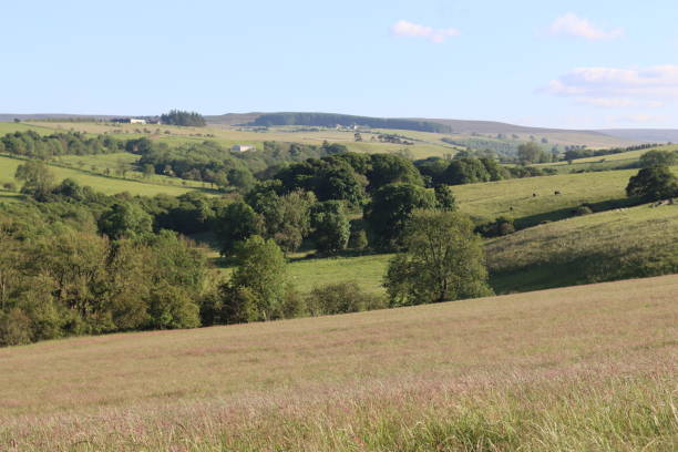istock View across countryside fields and meadows in summer 2164906070