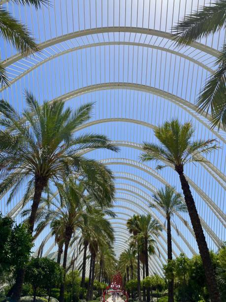 istock The Umbracle, Valencia Spain 2164906311