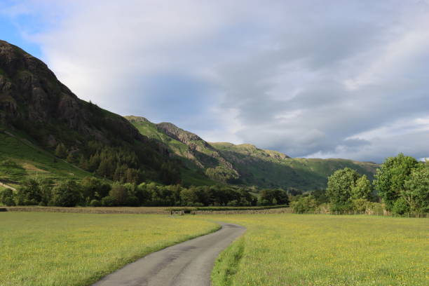 Empty road winding through a valley in the Lake District in summer