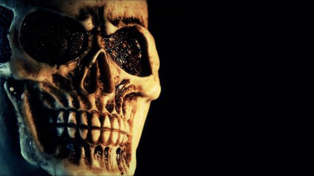 istock Creepy and Scary Head Skull 2164912866