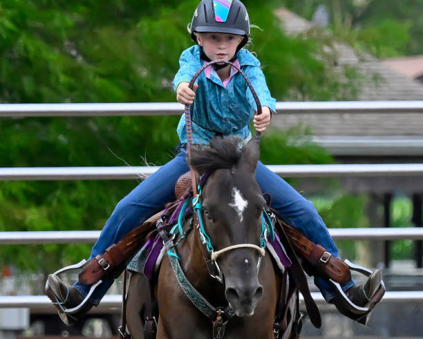Rodeo cowboy and wild horse