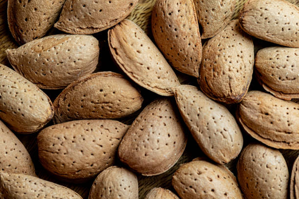 Background of big raw unpeeled almonds
