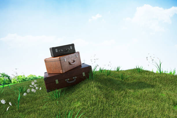 Old Retro Style Suitcases on Green Grass. 3D Render