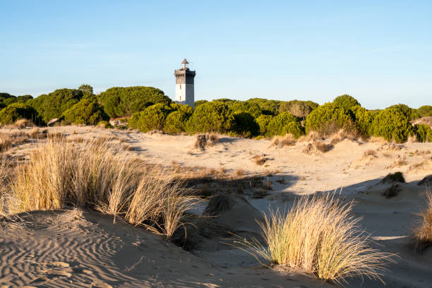 istock Beach landscape and Espiguette lighthouse in Grau-du-roi 2164920409