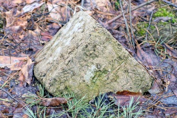 one old dirty large piece of white gray brick lies on the ground in the street