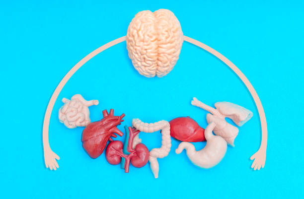 A human paper head with an led brain shape