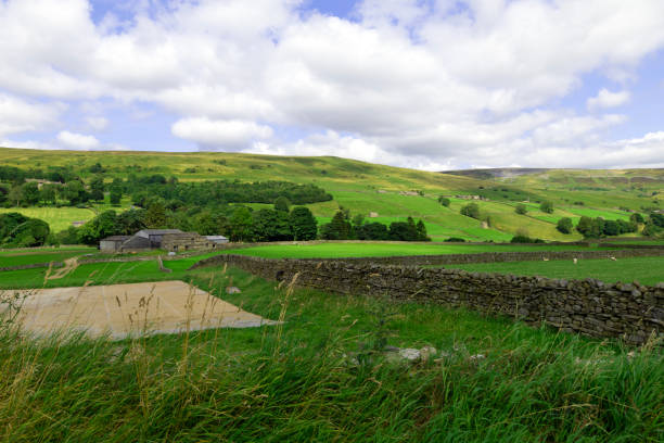 Farmland between Muker and Reeth.