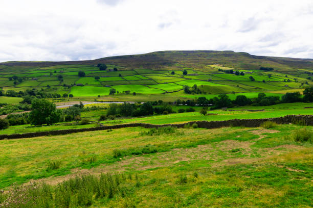 Lush Reeth farmland, on a sunny day.