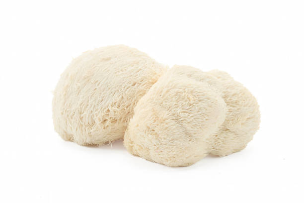istock Fresh Lion's Mane mushrooms on a white background. 2164934795