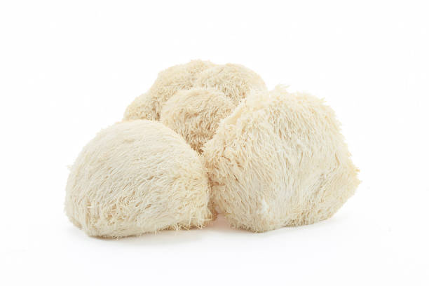 istock Fresh Lion's Mane mushrooms on a white background. 2164935224