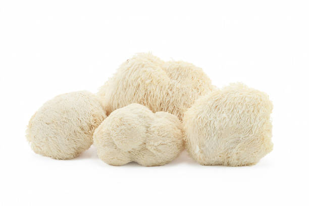 istock Fresh Lion's Mane mushrooms on a white background. 2164935384