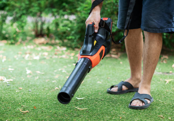 istock Cordless Leaf Blowers. handheld, cordless, electric leaf blower in a garden, selective focus. Autumn, fall gardening works in a backyard, on a lawn, grass. Garden works. 2164936476