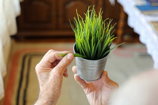 Hand and Plant in Indoor Setting: A photograph of a hand holding a potted plant, taken indoors with curtains in the background. It portrays the comfort of home and a love for plants.