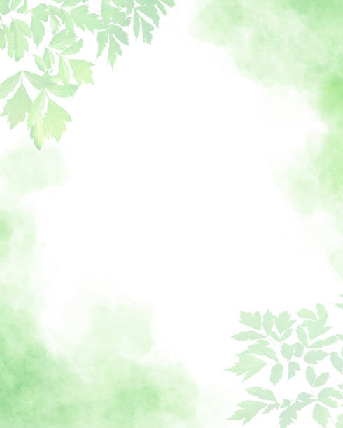 istock Leaves over Framed Watercolor Background in Pastel Green Color 2164938508
