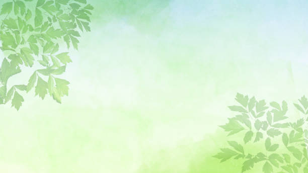 istock Leaves over Abstract Watercolor Background in Pastel Green 2164938665