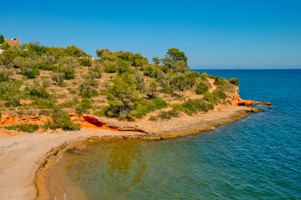 istock Cala Maria beach in La Ampolla, Catalonia, Spain 2164940120