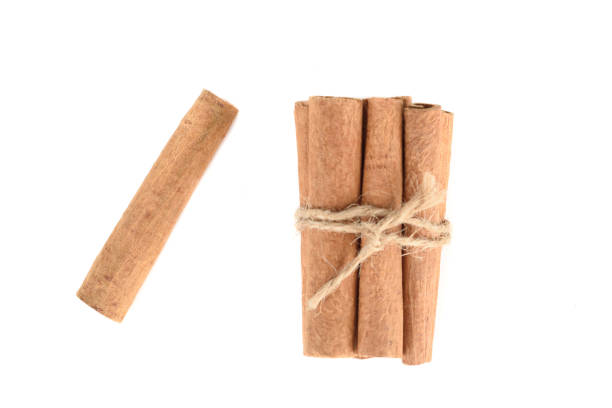 Cassia spice stick lying next to bunch of sticks on white background. Copy space.