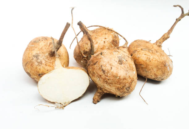istock several jicama fruits isolated on a white background 2164948878