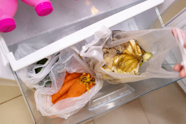 istock Male hand carefully open a plastic bag containing a spoiled, rotting cabbage, revealing it alongside another bag with sprouted carrots. The scene in the refrigerator’s vegetable drawer highlights issues of food spoilage and improper storage. 2164949397