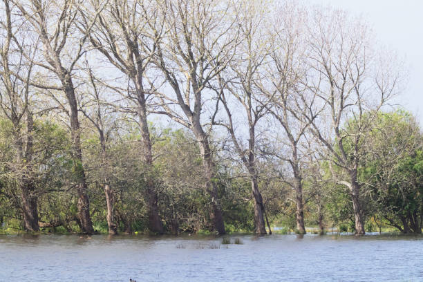 Photo of the Santo André Lagoon in the Alentejo district, South of Portugal.