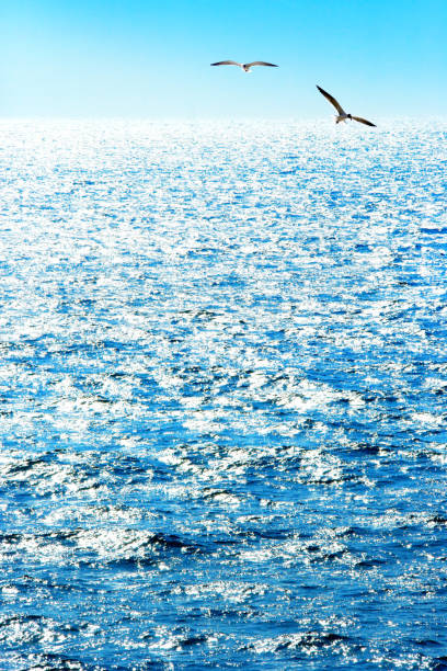 istock Shiny empty seascape in sunny day 2164953050