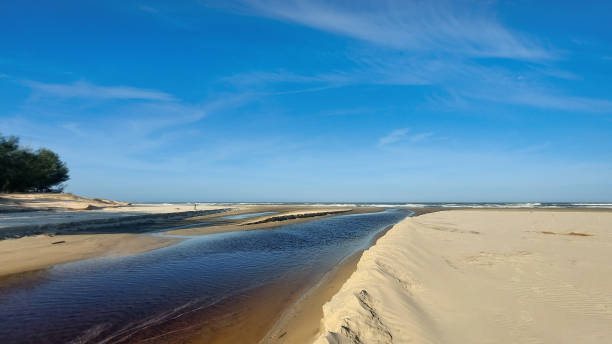 istock Crystal clear river passing through the dunes 2164959724