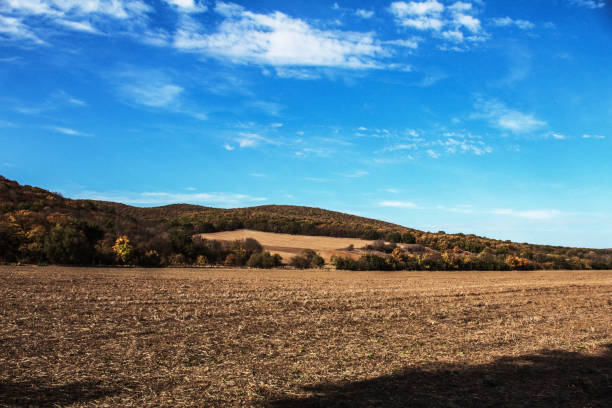 Landscapes -  Forest - Europe, Romania