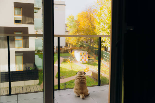 istock Cozy Autumn Time at Home 2164963579
